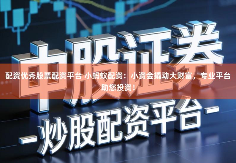 配资优秀股票配资平台 小蚂蚁配资：小资金撬动大财富，专业平台助您投资！