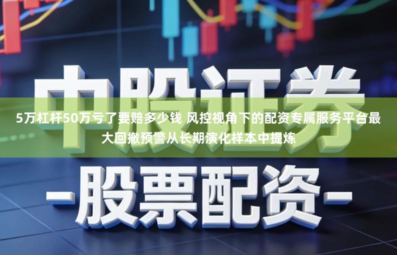5万杠杆50万亏了要赔多少钱 风控视角下的配资专属服务平台最大回撤预警从长期演化样本中提炼