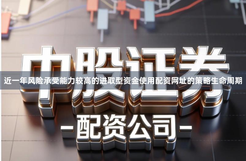 近一年风险承受能力较高的进取型资金使用配资网址的策略生命周期