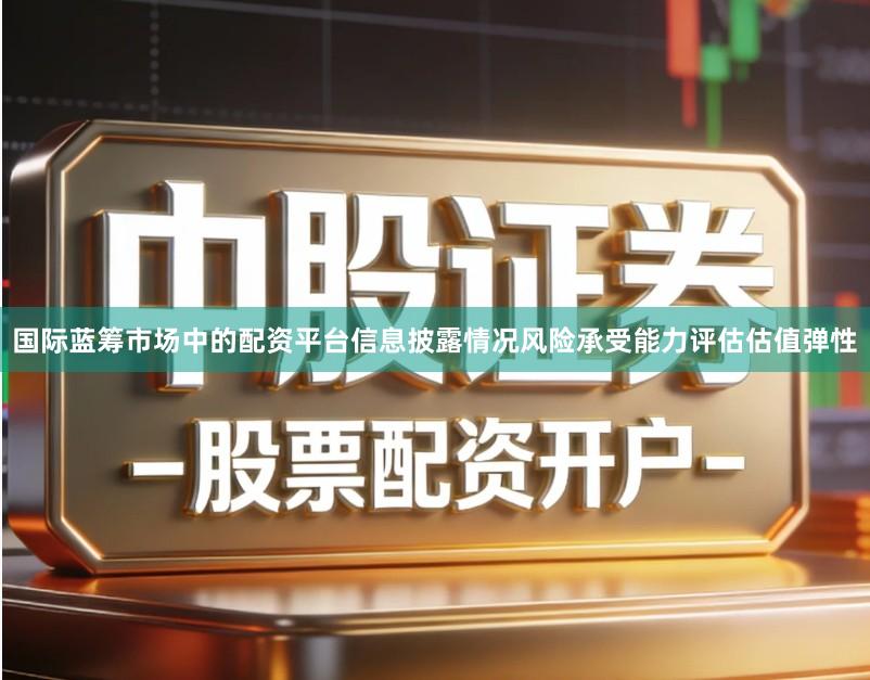 国际蓝筹市场中的配资平台信息披露情况风险承受能力评估估值弹性