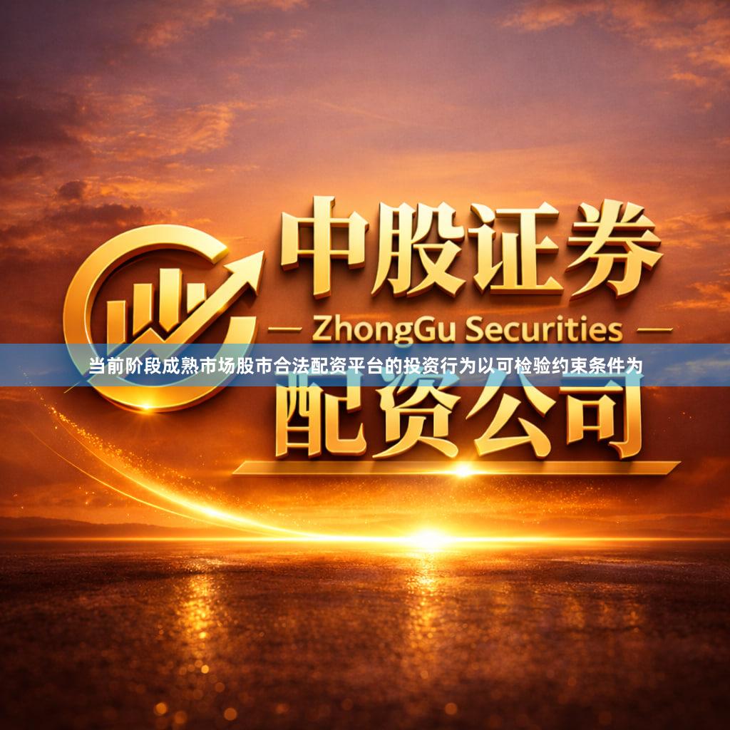 当前阶段成熟市场股市合法配资平台的投资行为以可检验约束条件为